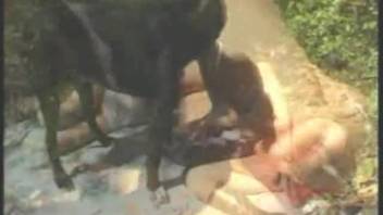 Outdoor sex encounter featuring a penis-craving animal lover