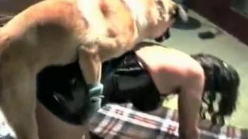 Dirty animal fucking her delightful pussy after foreplay