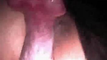 Bare homemade adult video of a plump-butted lady with a smooth-shaven pussy