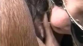 Aroused man shares intimate moments of him licking the horse's cunt
