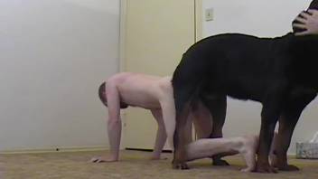 Hairless dude being fucked by a canine in a trio porn clip
