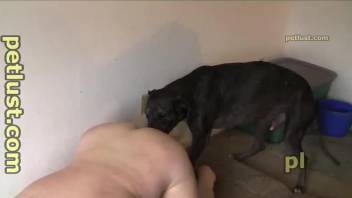 Gay guy with a hot booty getting fucked by a dog