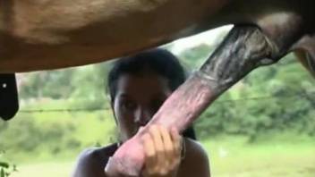 Ponytailed babe getting fucked by a giant horse penis