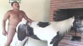 Latino hottie fisting a mare's pussy to orgasms