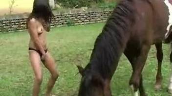 Latina appreciates horse fucking in high quality