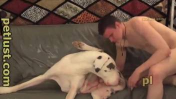 Chubby dude fucking that gorgeous dog pussy on the couch