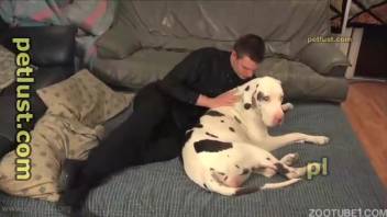 Plump guy banging that stunning canine snatch on the sofa