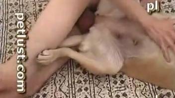 Sexy guy dominating a dog's hot hole in a hot video