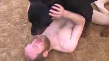 Bald gay man gets anal fucked by the dog and he loves it