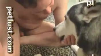 Chubby guy goes wild while sucking a dog's dick