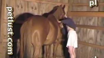 Brown mare getting fucked with passion from behind