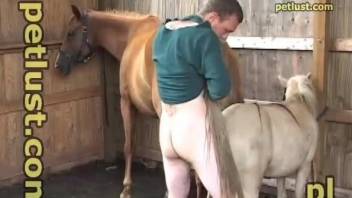 Dude drilling a mare's pussy after licking it