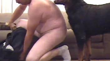 Fat man tries a few rounds of dog porn with his trustful hound