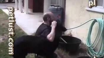 Dog and man anal sex