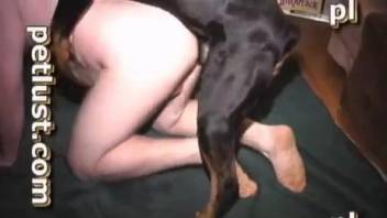 Horny men sharing dog cock in sloppy XXX zoophilia scenes