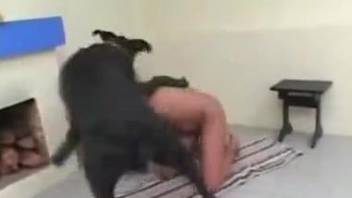 Naked milf masturbates and enjoys dog cock in solo modes