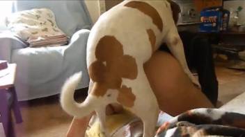 Perky booty babe getting plowed by a very sexy doggo