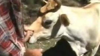 Assertive dude power-fucking a kinky cow from behind