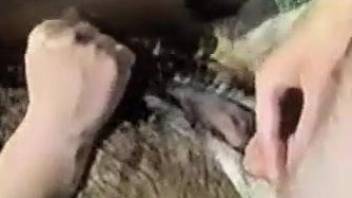 Needy woman shoves animal dick in the ass and pussy
