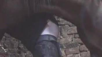 Nude man endures whole horse cock into his butt hole