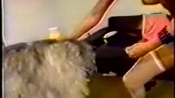 Vintage amateur beauties indulging in steamy bestiality encounters