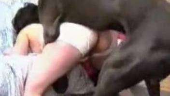 Fine broad loves entire dog cock hammering her like that