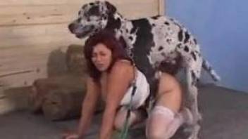 Aroused mature babe fucked by her dog in ways that seem unreal
