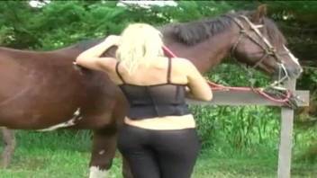 Ponytailed blonde sucking on a stallion's hard cock