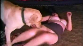 SExy blonde poses when the dog starts to stick the dick in her