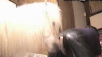 Hot mature shoves endless inches of horse cock up her wet cunt