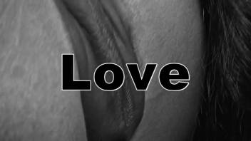 Stallion's slit pounded fiercely by well-endowed stud