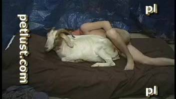 Ginger-haired dude finger-banging and screwing a pale goat
