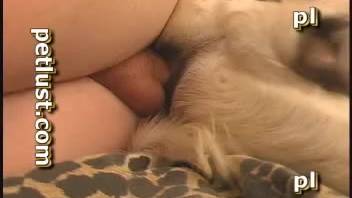 Well-endowed man screwing his female dog after fingering her narrow vagina
