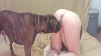 Wild-haired blonde getting fucked by a kinky dog