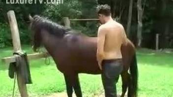 Gay male throats the endless cock of his horse before fucking