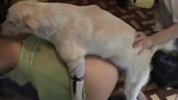 Sexy mommy with a tight hole getting fucked by a white dog