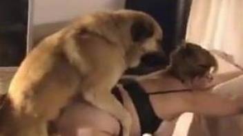 Big boobs mommy getting fucked by a kinky dog