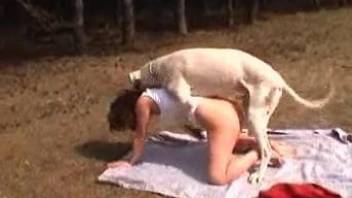 Skinny woman endures large dog cock in both pussy and ass