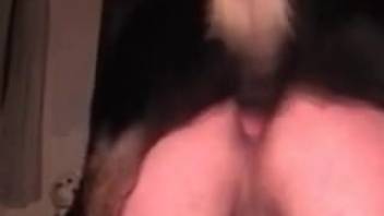 Tight babe services the dog for several sessions of intercourse