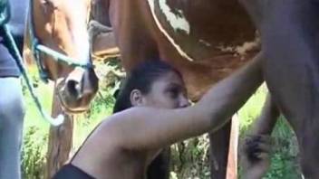 Horny woman sucks her horse's hard cock until the last drop
