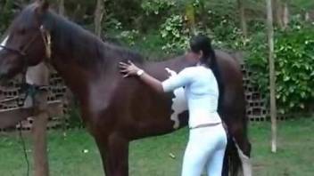 Curvy ass babe wants to suck the horse's endless cock