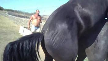 Stallion fucks his female and horny zoophilia lover tapes it