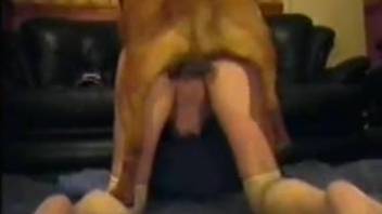 Massive fuck play with the dog for this lonely woman