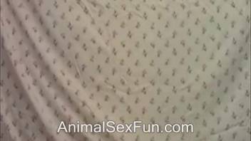 Alluring naked lady relishes canine length in her wet vagina
