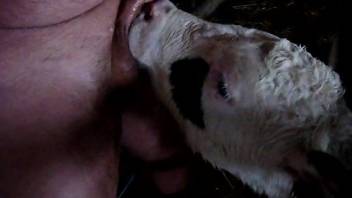 Veal licks man's penis in dirty manners while the man records himself