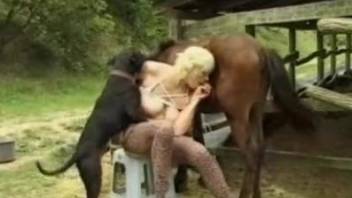 Nude busty blonde surrounded by animals for sexual perversions