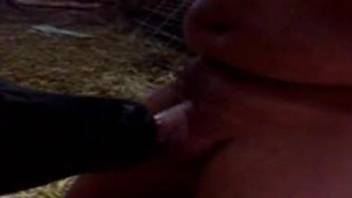 Cow sucking on a guy's throbbing boner in a barn