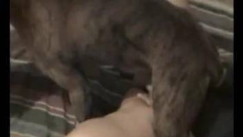 Tight woman leaves the dog to fuck her really hard