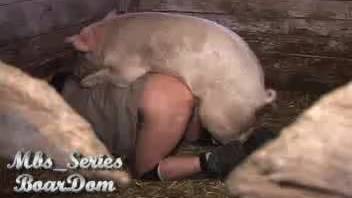 Swine penetrates aroused dude and ejaculates inside his rear end