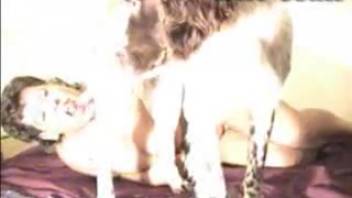 Aroused older lady sucks on the canine's cock and screws wildly